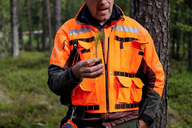 Delltax Takseringsvest varsel | Måling | Norlog AS