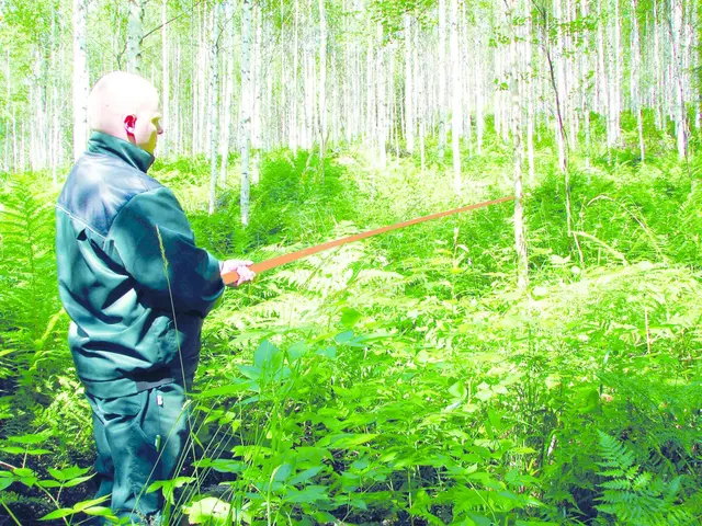 Nordforest Teleskopisk målestang | Måling | Norlog AS