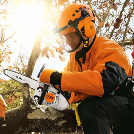 Stihl MS 151 TC-E | STIHL | Norlog AS