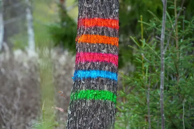 Distein merkespray Neon Lyseblå 