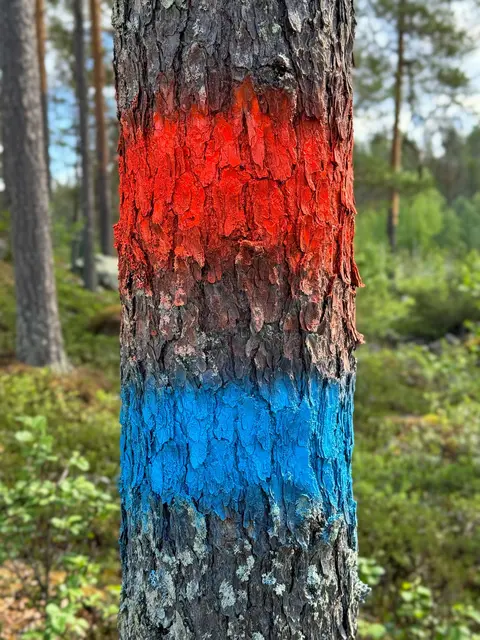 Skogma fluor merkespray | Merking | Norlog AS