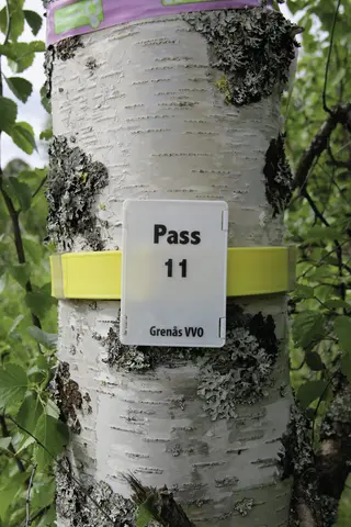 Markeringsb&#229;nd Polyeten 35m