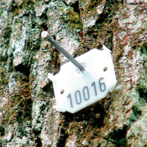 Arbo-Tech Merkebrikker Hvit/svart, 800pk, 0001-0800