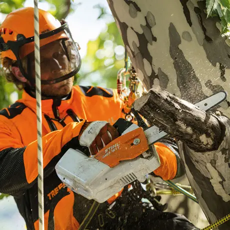 Stihl MSA 161 T | STIHL motorsager | Norlog AS