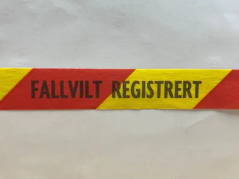 Merkeb&#229;nd &quot;fallvilt registrert&quot; 30mm, r&#248;d/gul
