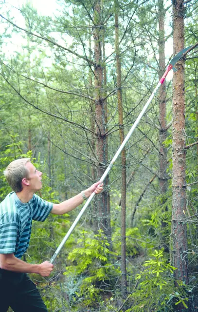 Tri Saw Kvistsag inkl. hurtigfeste | Skog og trepleie | Norlog AS