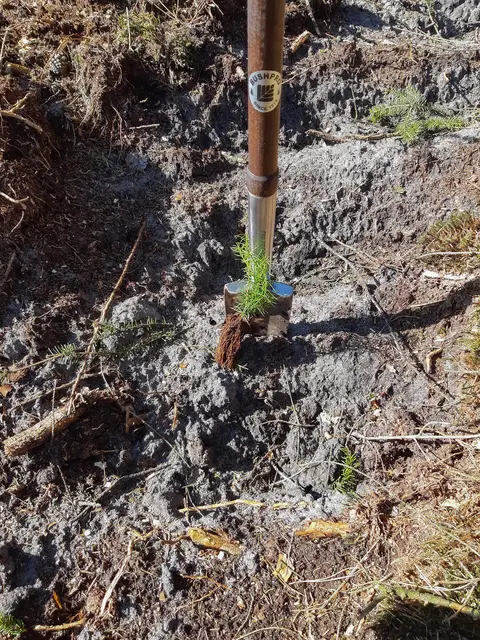 Bushpro plantespade 85,5cm 