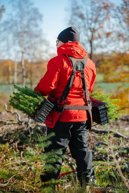 Pottkiputki sele med kassettholdere | Planting | Norlog AS