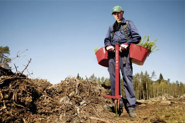 Pottiputki planterør | Planting | Norlog AS