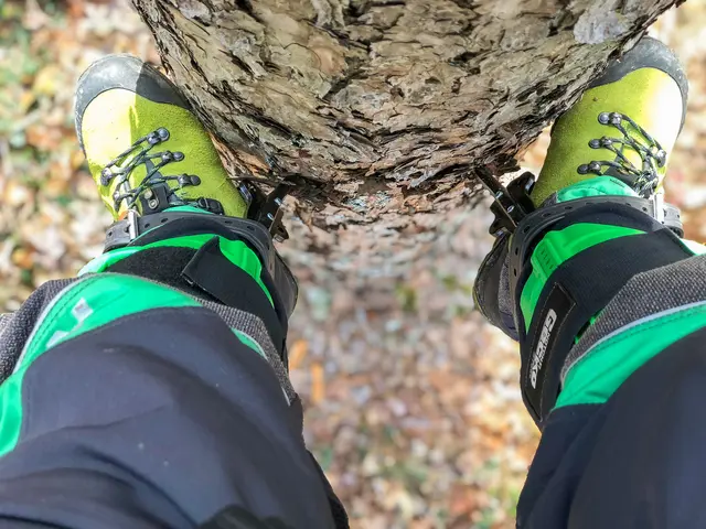 Notch klatrespore Gecko Steel | Arborist | Norlog AS