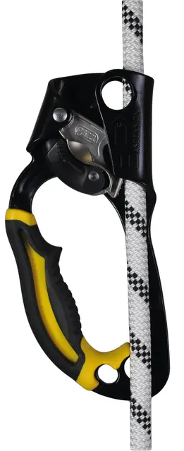 Petzl Ascension Hand Ascender | Arborist | Norlog AS