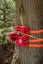 Tree Runner P3000 Nedfiringsbrems