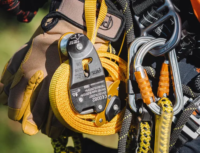 Petzl Eject Kambiumbeskytter 