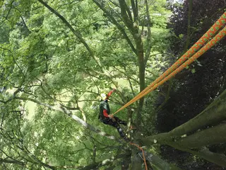 Cousin Atrax Arboristtau 1 øgle Ø11,6mm