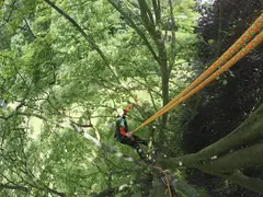 Cousin Atrax Arboristtau 2 &#248;gler &#216;11,6mm, 60m