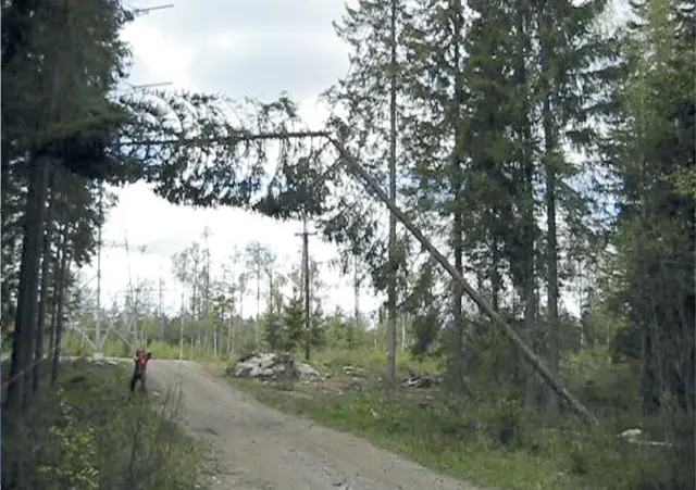 Throw-Saw kastesag komplett | Skog og trepleie | Norlog AS
