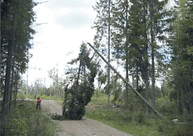 Throw-Saw kastesag komplett | Skog og trepleie | Norlog AS