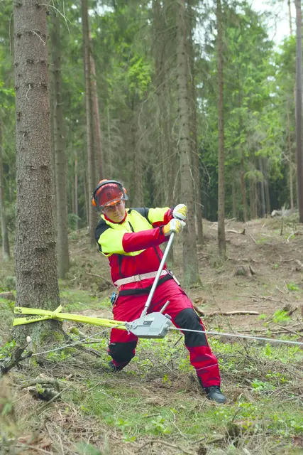 Nordforest vaiertalje | Lunning/vinsjing | Norlog AS