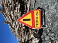 Varselskilt - Trefelling