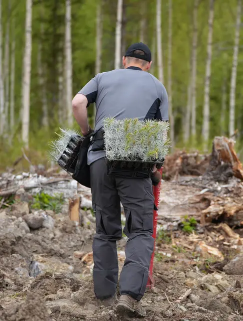 Profiforest Extreme arbeidsbukse | Klær og sko | Norlog AS