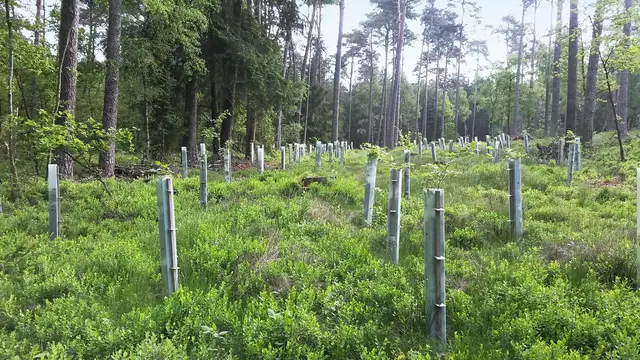 PlantaGard vekstbeskyttelse ClimaVent H90xB10xD10 cm 
