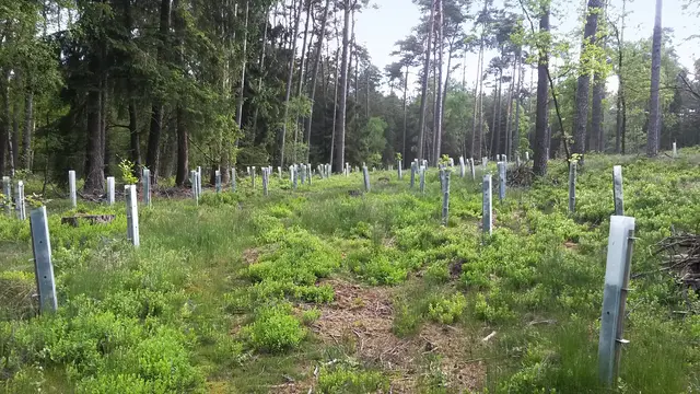 PlantaGard vekstbeskyttelse ClimaVent H90xB10xD10 cm 