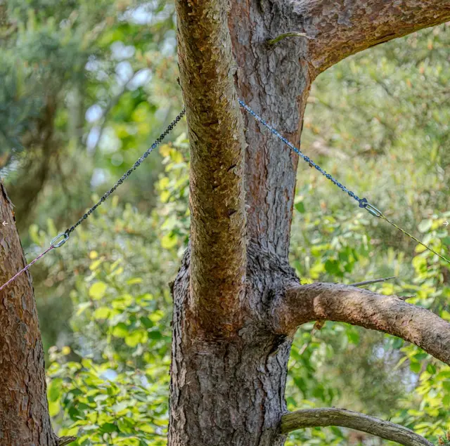 NPS Kastesagpakke Lineworker komplett 
