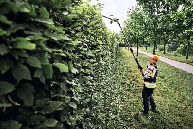 Stihl HLA 150.0-B Batteridrevet hekksaks Teleskopisk skaft 