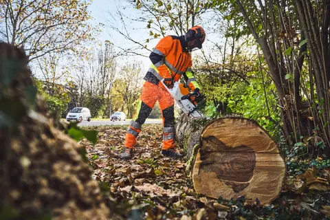 STIHL MSA 600 C-O W u/ batteri og lader