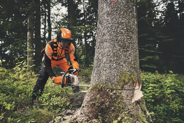 Stihl MS 400.1 C-M VW 62.6ccm, 5,3hk 