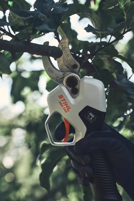Stihl ASA 140.0 Beskjæringssaks Batteritrevet, AP-serien 
